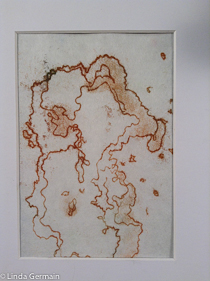trace monoprint water lindagermain