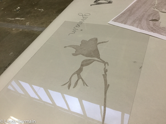 Loving Akua Intaglio ink for Trace Monoprinting - Linda Germain