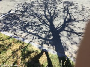 cast shadow to inspire stencils