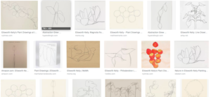 ellsworth kelly plant drawings