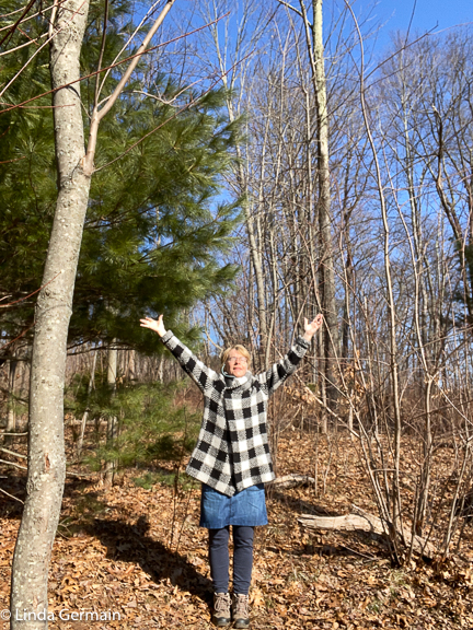 celebrate sunshine